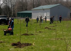 Actions “Clean Environment” and “Plant a Tree”